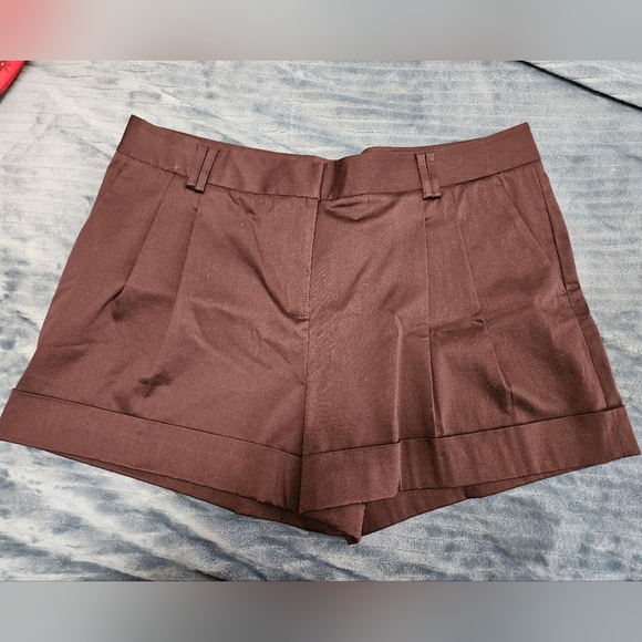 Kenneth Cole Reaction Brown Pleated Shorts! - Picture 1 of 6